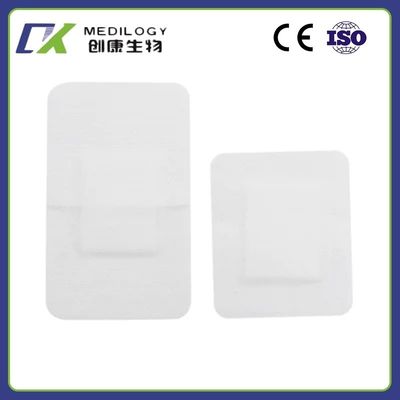 Non-Woven Fixing Tape Roll Medical Surgical Tape Wound Dressing with Various Packing OEM