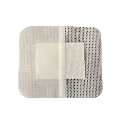 Hot Sale Wound Dressing Foryou Meidcal Chronic Wound Dressing Wound Care Silicone Foam Dressing