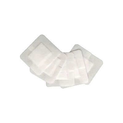 La herida estéril disponible de la preparación de la espuma del silicón rellena favorable al medio ambiente médico